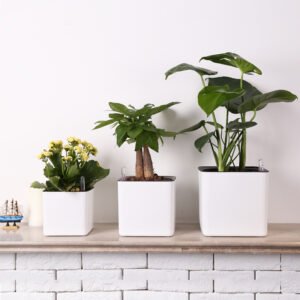 Flower Pots Automatically Absorb Water, Pothos Potted Plants Store Water, Lazy Flower Pots, Indoor Thickened Plastic Water-free Square Pots